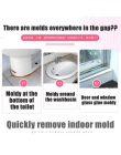 Gospodarstwa domowego środek do czyszczenia płytek ściany podłogi środka grzybobójczego detergentu wysoka wydajność usuwania ple
