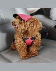 TAILUP 2017 gorąca sprzedaż kapelusz słońce dla psów śliczne zwierzęta domowe są na co dzień bawełniana czapka baseballowa Chihu