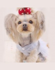 Hoomall Pet ubrania dla psów sukienka Sweety księżniczka sukienka maskotka dla psa suknie ślubne dla dla psów małych średnich ps
