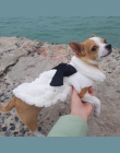 HOOPET ubrania dla zwierząt domowych, eleganckie i luksusowe futro płaszcz zimowy mały pies ubrania dla kota Bowknot Chihuahua