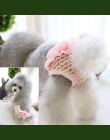 Najnowszy Pet fizjologiczne spodnie szczeniak słodkie spodenki sanitarne krótkie majtki zmywalne trwałe naturalny pies bielizna 