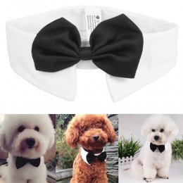 , Pies, kot, krawat zabawka dla szczeniąt muszka krawat ubrania w stylu brytyjskim Black kotek krawat przystojny, pies, szczenia