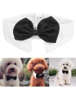 , Pies, kot, krawat zabawka dla szczeniąt muszka krawat ubrania w stylu brytyjskim Black kotek krawat przystojny, pies, szczenia