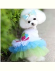 Pies ubrania dla małych psów sukienka wiosna lato dla małych psów koronki księżniczka Chihuahua pies Mascotas Roupa zwierzęta do