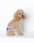 ISHOWTIENDA nowy śliczne pieluchy dla psa majtki w sezonie spodnie sanitarne dla kobiet piękny bielizna dla chłopca, pies, kot,
