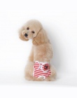 ISHOWTIENDA nowy śliczne pieluchy dla psa majtki w sezonie spodnie sanitarne dla kobiet piękny bielizna dla chłopca, pies, kot,
