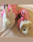 Modne ubrania dla psów szkoła garnitur ubrania dla zwierząt dla małych psów koszula sweter Puppy koszulka wiosna kostium pies su
