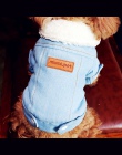 Luksusowe zimowe kurtka dla psa Puppy Dog odzież stroje dla zwierząt domowych dla psów Denim płaszcz jeansy kostium Chihuahua pu