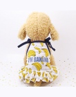 Ubrania dla zwierząt domowych plaży pary lato sukienka dla psa na ubranie dla małego psa oddychające owoce sukienka spódnica kam