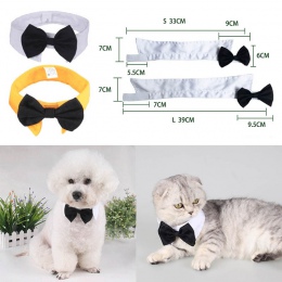 Motyl krawat kot krawaty muszka krawat kołnierz 2 rozmiar mucha dla psa krawaty regulowane Grooming produktu 1 PC akcesoria dla 