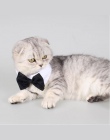 Motyl krawat kot krawaty muszka krawat kołnierz 2 rozmiar mucha dla psa krawaty regulowane Grooming produktu 1 PC akcesoria dla 