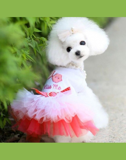 MUQGEW pies ubrania dla małych psów sukienka wiosna lato dla małych psów koronki księżniczka Chihuahua pies Mascotas Roupa zwier