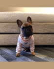 Ubrania dla zwierząt domowych w paski pies kombinezon piżama płaszcze dla psów odzież dla psów buldog francuski Chihuahua Puppy 