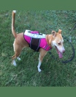 Dla zwierząt domowych życie kamizelka wygodne pies strój kąpielowy odzież kamizelka ratunkowa dla bezpieczeństwa dla psów ubrani