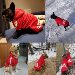 Ubrania dla zwierząt domowych dla dużych psów buldog francuski pies bluzy z kapturem zimowe ubrania dla małych psów pudel mops o