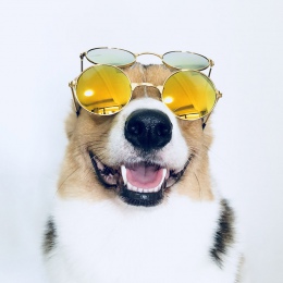 Średnich dużych psów okulary moda oczu nosić okulary przeciwsłoneczne dla kotów boże narodzenie zdjęcia rekwizyty do pielęgnacji