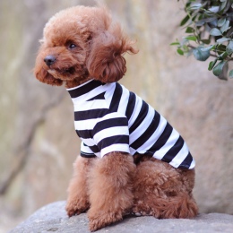 2019 letnie ubranie dla psa pies ubrania dla małych psów bawełniany koszulka dla psa Pet Cat kamizelka odzież koszulka dla zwier