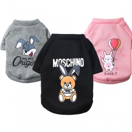 Modne ubrania dla psów wiosna Chihuahua płaszcze dla psów kurtki 2019 Cartoon bluza z kapturem ubrania dla zwierząt domowych dla