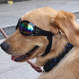Dla zwierząt domowych regulowany UV okulary przeciwsłoneczne podbite oko-nosić kostium składany Sun odporne na gogle grooming zd