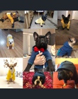 Buldog francuski bluzy ubrania dla zwierząt domowych dla małych psów odzież dla zwierząt domowych Chihuahua płaszcz mops kostium