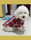 Plaid koszula letnie ubranie dla psa ubrania dla psów dla psów ubrania dla psów koszulka kamizelka Puppy Pet ubrania dla psów st