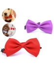 Wielu kolorach Cute Dog Puppy kot kotek zabawka dla zwierząt domowych Kid stałe muszka krawat ubrania kot pies krawat zwierząt d