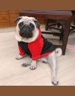 Urocze ubranka dla psa zima ciepły płaszczyk dla zwierzęcia kurtka dla psów mops strój Chihuahua zwierzęta domowe są bluza z kap