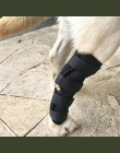 2 pcsNew zwierzęta domowe są ochraniacze na kolana dla psów wsparcie Brace do tylnej nogi staw skokowy Wrap oddychająca uraz odz