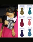 1 sztuk moda pies kot paski muszka obroża dla zwierząt domowych regulowany krawat na wesele