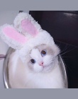 Śmieszne słodkie kostium dla zwierząt Cosplay królik kapelusz czapka dla kot Halloween boże narodzenie nowy rok ubrania Fancy Dr