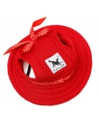 Akcesoria dla psa lato pies czapka z daszkiem zwierząt domowych oddychająca siatka pies kapelusze księżniczka plaża kapelusz dla