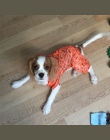 Wodoodporny zwierzę pies płaszcz przeciwdeszczowy dla mały pies lato odzież dla psów ubrania dla zwierząt pada deszcz płaszcz pr