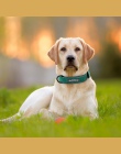 Obroże dla psów spersonalizowane niestandardowe skórzana obroża dla psa identyfikatory personalne dla małych średnich dużych psó
