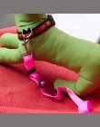 1 pc Nylon zwierzęta Puppy siedzenia ołowiany dla psa szelki dla psa pojazdu pasów bezpieczeństwa dla zwierząt domowych podróży 