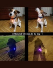 Zwierzęta domowe są noc bezpieczeństwa latarka LED obroża dla kota/psa prowadzi światła świecące wisiorek naszyjnik Pet Luminous