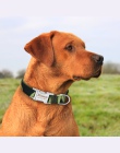 Obroża dla psa Nylon spersonalizowane niestandardowe pies ID Tag kołnierz grawerowane tabliczka znamionowa kołnierz dla kota Ant
