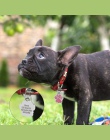 Dog Tag grawerowane niestandardowe obroża dla zwierząt akcesoria spersonalizowane kot Puppy ID Tag ze stali nierdzewnej Paw nazw