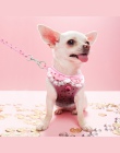 Miękka siatka Pet Puppy Dog Cat szelki smycz zestaw z dzwonkiem słodkie koronki kamizelka dla zwierząt dla małych średnich psów 