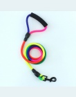 Wytrzymałego nylonu Rainbow 2 M smycz dla psa do chodzenia smycz treningowa koty psy uprząż kołnierz smycze pasek pas liny