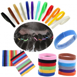 Niska cena 12 kolorów identyfikacja ID obroże opaski szczenię Puppy kotek pies dla zwierząt domowych kot aksamit praktyczne Pupp