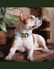 Spersonalizowane nylonowa obroża dla psa niestandardowe grawerowane pies Tag regulowana obroża dla zwierząt Puppy Cat, imię i na