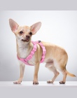 Szelki dla psa na małe pieski chihuahua Yorkie regulowany miękkie skórzane Pet szelki dla psa kamizelka różowy Petshop