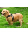 Artykuły dla psów Nylon zwierzęta psy szelki kołnierz wysokiej jakości produktów dla zwierząt domowych, w harnais pour chie dla 