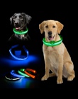 Gorąca sprzedaż dostarcza produkty bezpieczeństwa dla psów kołnierz światło miga świecące klejnot światła LED obroża dla zwierzą