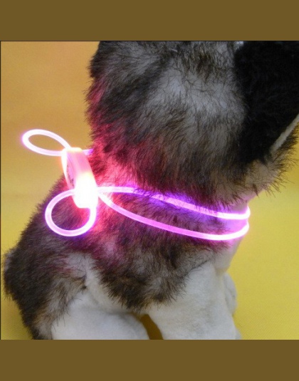 Wysokiej jakości 1 sztuk wielobarwne LED obroża dla zwierząt regulowany bezpieczeństwo w nocy obroża dla zwierząt domowych lampa