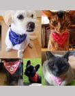 Regulowany zwierzęta obroża zwierzęta domowe są szalik drukowane dla kociąt kot szczeniak obroża smycz krawat produkty dla zwier