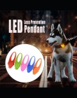 1 sztuk Pet wisiorek LED bezpieczeństwa miga Glow światło miga LED wisiorek do obroży dla Pet Dog Puppy 8x2.5 cm Dropshipping li