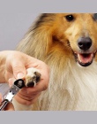Gorący nowy pies kot Puppy paznokcie zwierząt domowych maszynka do strzyżenia zwierzęta domowe są obcinacz do paznokci Cutter dl