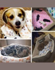 Wygodne łóżko maty snu flory łapa drukuj pies kot Puppy polar miękki koc łóżeczka dla piesków mata dla zwierząt kot mały pies do