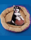 Łóżka psa Maty Sofa Kennel Doggy Ciepłe Dom Zima Zwierzę Spanie Bed Dom dla Puppy Small Dog Koc Poduszka Basket dostawy
